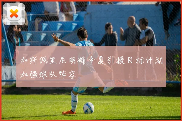 加斯佩里尼明确今夏引援目标计划加强球队阵容